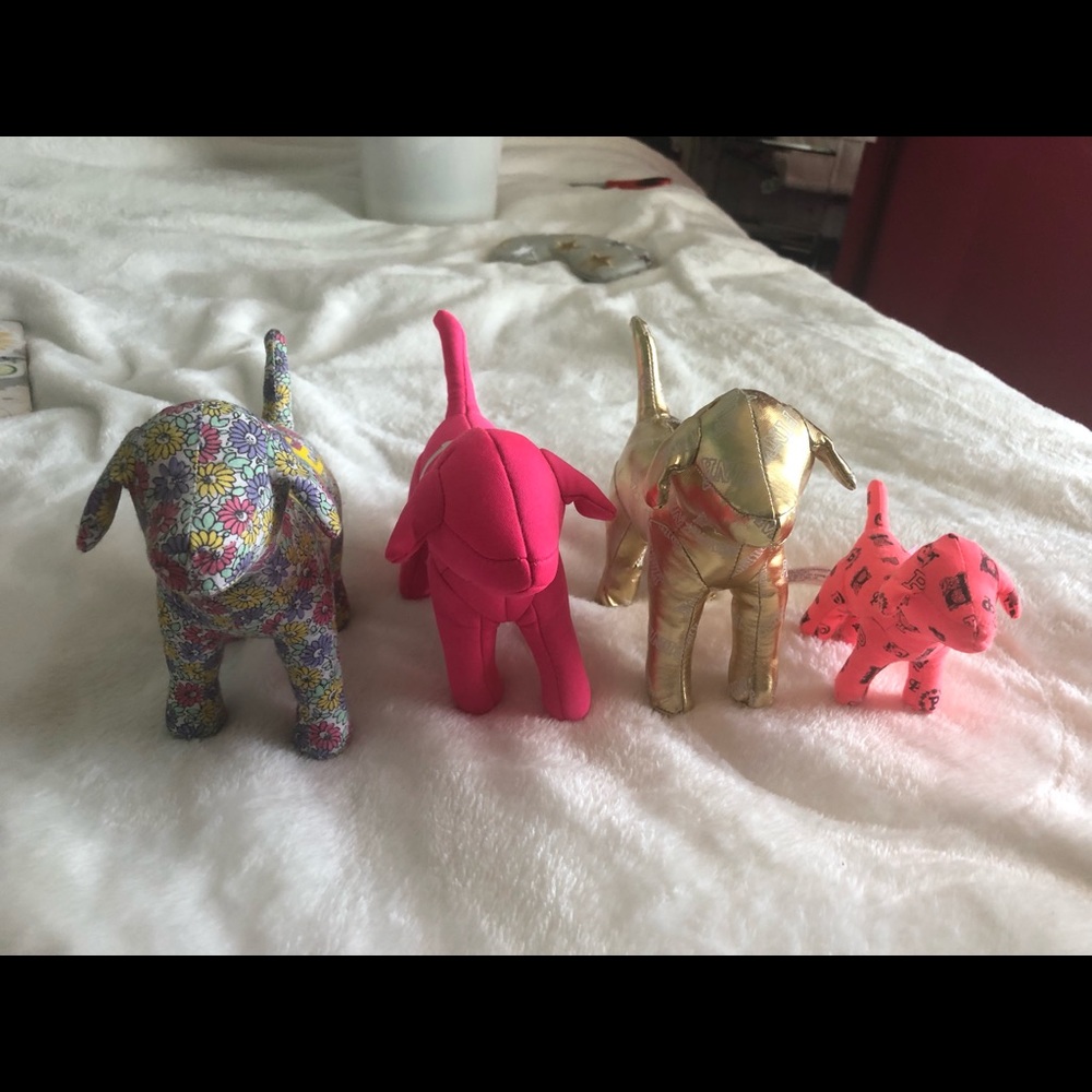 NWOT VS Dog Lot (4)